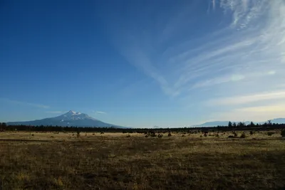 DSC_3017 (Large).JPG